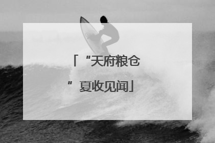 “天府粮仓”夏收见闻